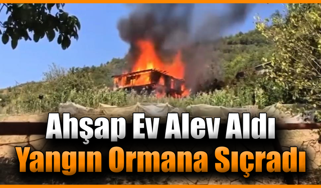 Karabük’te ahşap evde çıkan yangın ormanlık alana sıçradı
