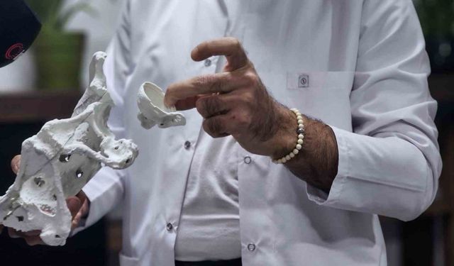 3D Kalça Proteziyle Yeniden Yürüdü
