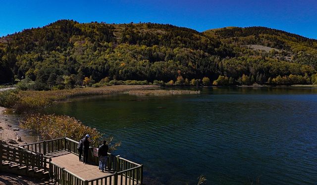 Abant Gölü Milli Parkı’nda renk cümbüşü