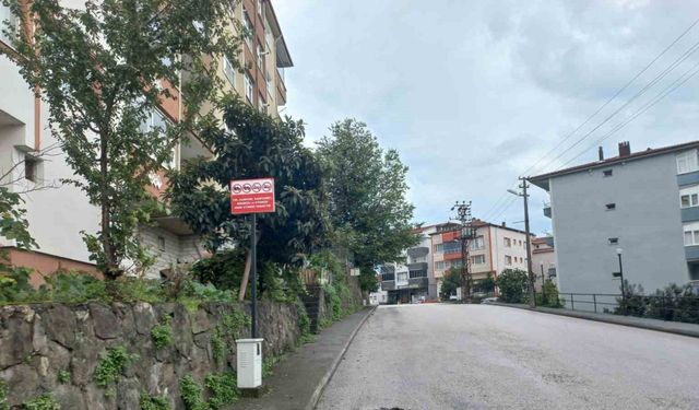 Alaplı’da hatalı parklara karşı yeni düzenleme
