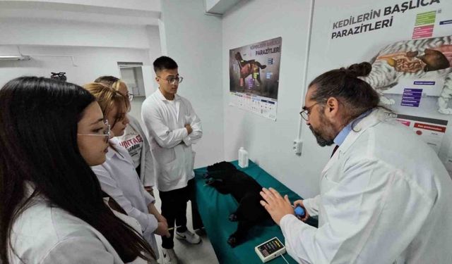 Veteriner Sağlık Öğrencilerine Simülasyonlu Eğitim İmkanı
