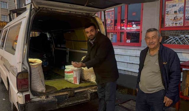 Türkiye’nin kestane borsası Alaplı’da kuruldu