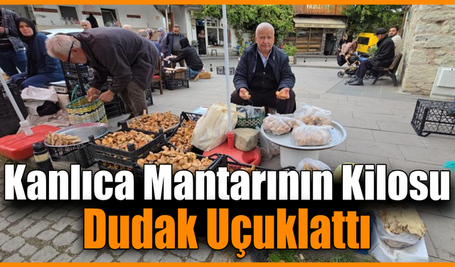 Tezgahlarda kanlıca bolluğu yaşanıyor: Kilosu 500 TL’ye kadar çıktı