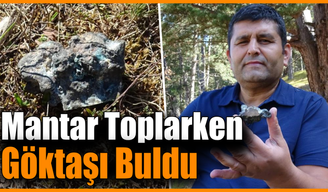 Mantar için gitti, uzaydan gelen taşı buldu!