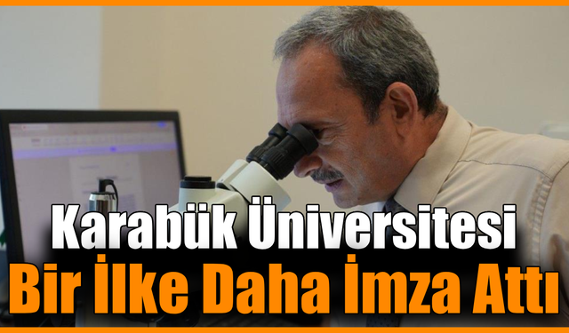 Batı Karadeniz orman fidanlıklarında toprak canlıları ilk kez araştırılıyor