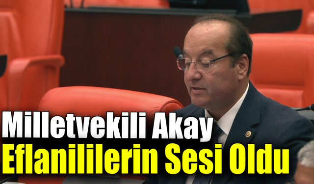 Akay, Karabük'ün sorunlarını gündeme taşımayı sürdürüyor