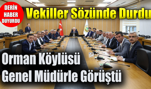 Milletvekilleri Şahin ve Keskinkılıç orman köylüsüne sözünü tuttu