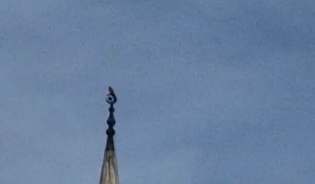 Bartın’da cami minaresine gökdoğan kondu