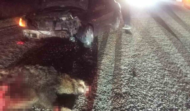 Bolu’da domuza çarpan otomobil hurdaya döndü