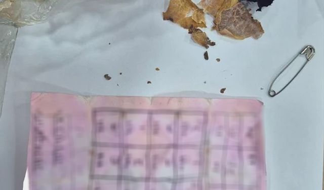 Bolu'da yapı marketin raflarının arasında muska çıktı