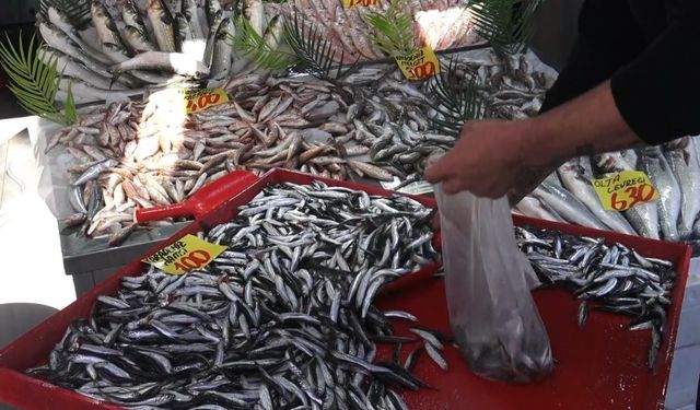 Çankırı’da 100 liraya satılan hamsi yüzleri güldürdü
