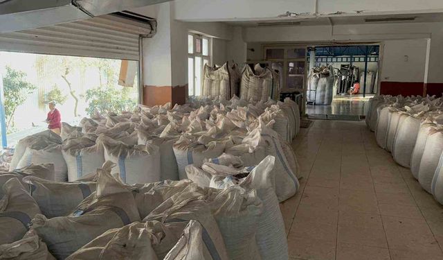 Fındık tüccarı fiyatların yükseleceği tarihe dair beklentiyi anlattı