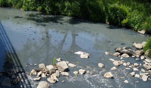 Fabrikaların kirliliğine karşı açılan davada yeni süreç başladı