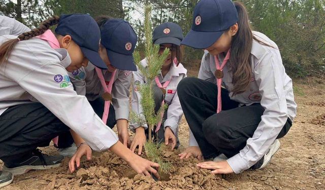 Kastamonu’da fidanlar toprakla buluştu