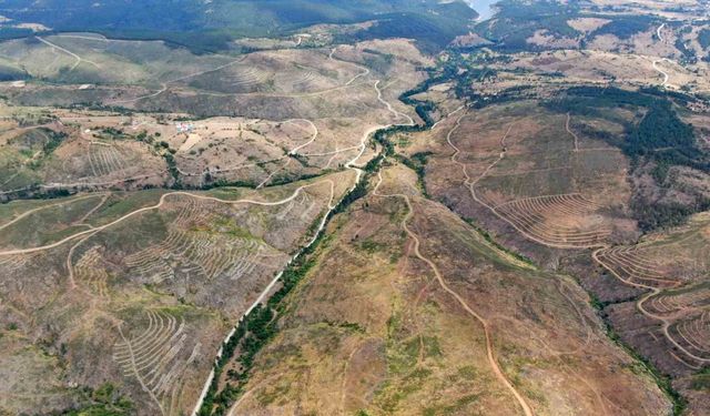 Taşköprü’de 413 milyon tohum toprakla buluştu