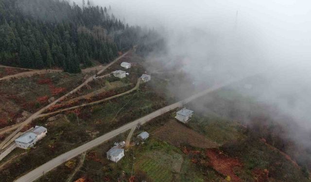 Yaralıgöz geçidinde sis nedeniyle görüş mesafesi düştü