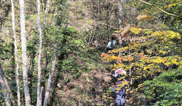Bozkurt’ta anne ve oğlunun ardından ikinci acı haber