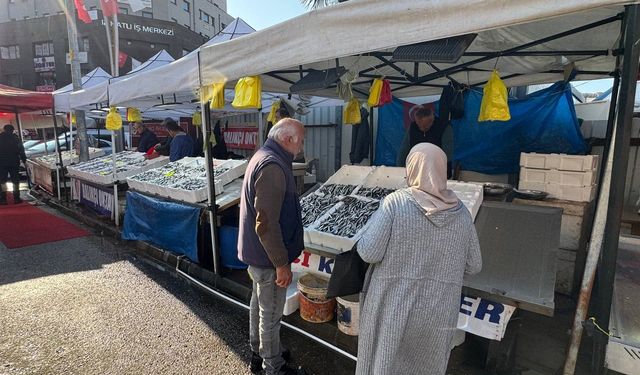 Karadeniz hamsisi yerini farklı balıklara bırakıyor