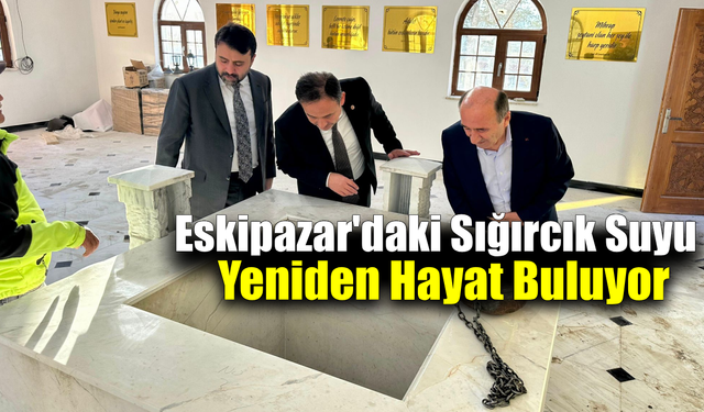 Milletvekilleri Şahin ve Keskinkılıç restorasyon çalışmalarını yerinde değerlendirdi