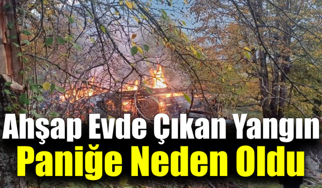 Alevlere teslim olan evdeki 5 kişi dumandan etkilendi
