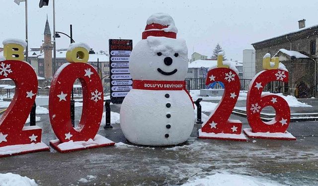 Bolu'da kar fırtınası hayatı olumsuz etkiledi