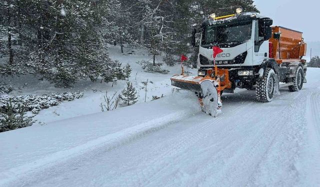 Bolu'da kar seferberliği: Kapalı köy yolu yok