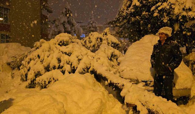 Çam ağacı park halindeki iki aracın üzerine devrildi