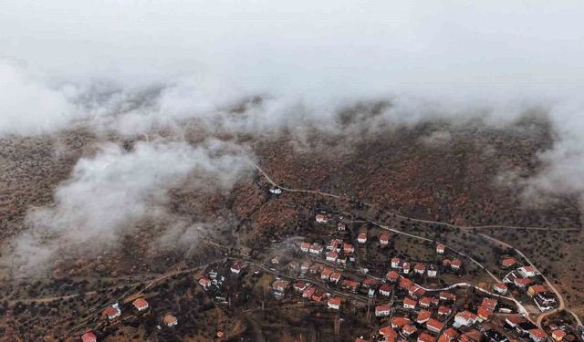 Çankırı'da sis ve kızıla bürünen ormanlar mest etti