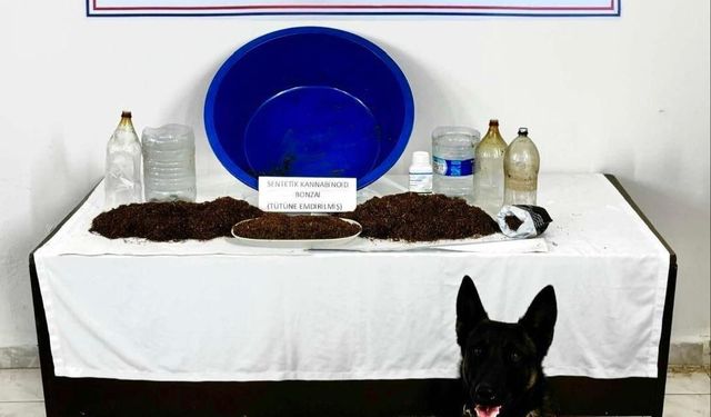 Çankırı'da narkotik operasyonu: 1 gözaltı