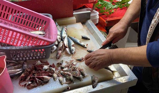 Balık alırken bunlara dikkat edin!