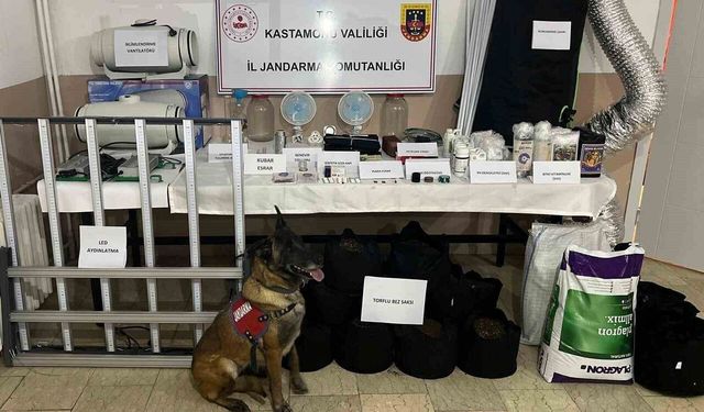Kastamonu'da narkotik operasyonu: 6 gözaltı