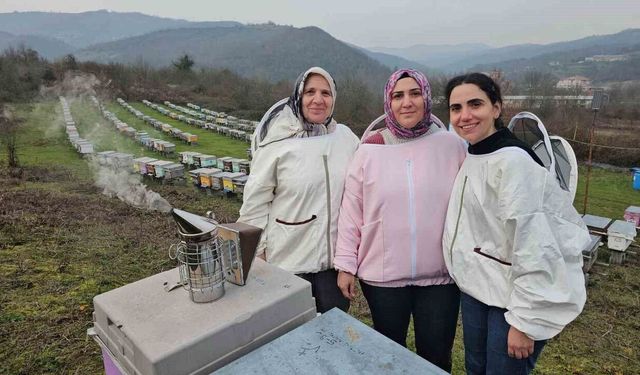 Zonguldak'ta anne ve kızları arıcılık mesleğiyle kestane balı üretiyor