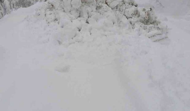 Zonguldak’ta kar ve tipi 53 köy yolunu kapattı