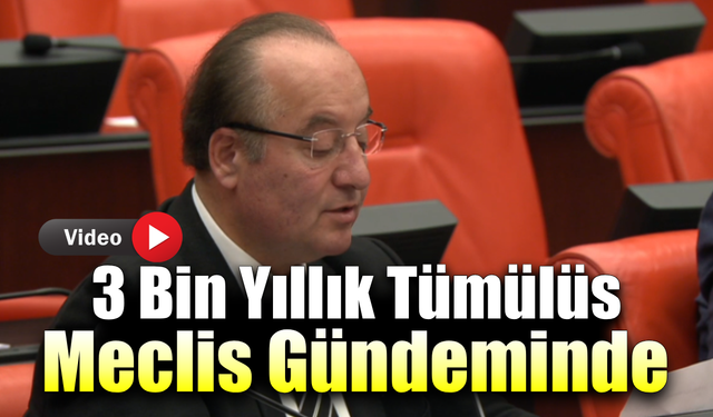 Yenice’deki kadim tümülüs için koruma istendi