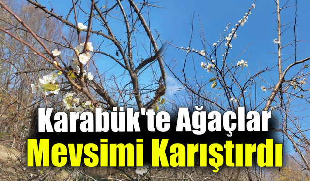 Erik ağacı Aralık ayında çiçek açtı