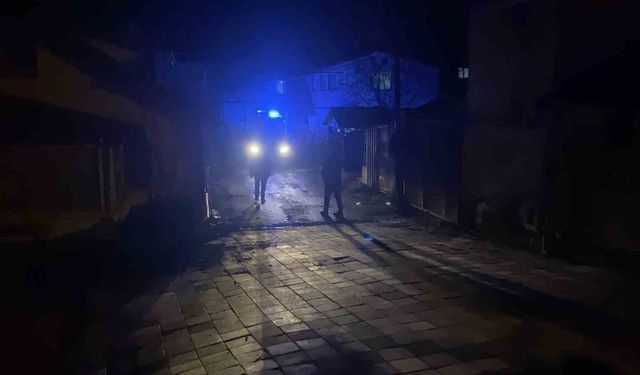 Evde tabanca temizlerken başından vuruldu