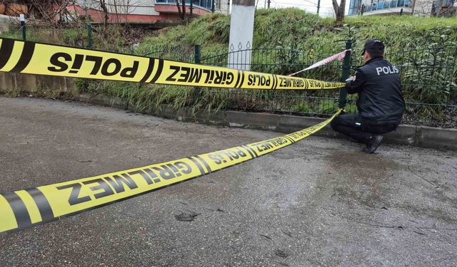 Yağmur ve kar sonrası Bartın Irmağı taştı