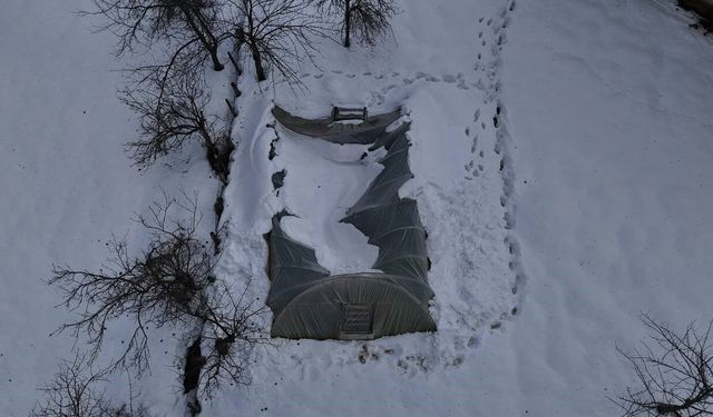 Kar birikintisine dayanamayan seralar çöktü