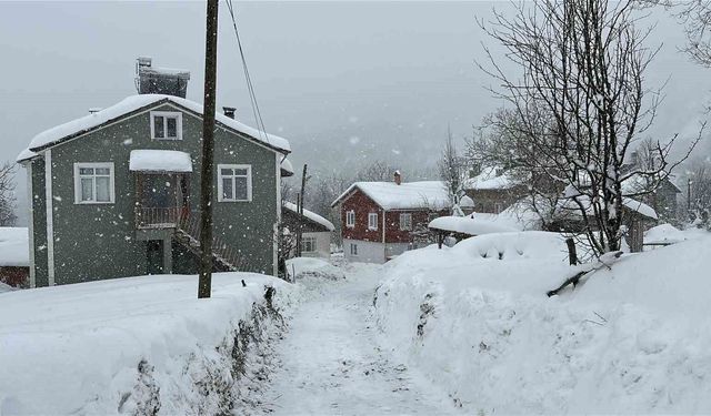 Kastamonu’da kar yağışı hayatı olumsuz etkiledi