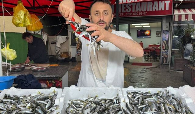 Zonguldak'ta istavrit tezgahta 100 liradan satıldı