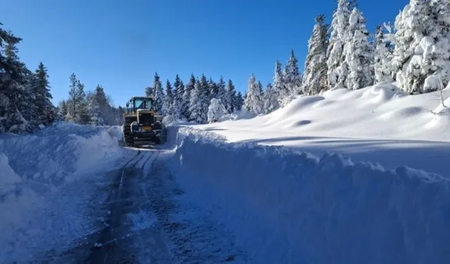 Kastamonu'da yolu ulaşıma kapalı köy sayısı 315'e düştü