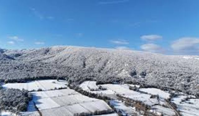 İhsangazi Ormanları beyaza büründü
