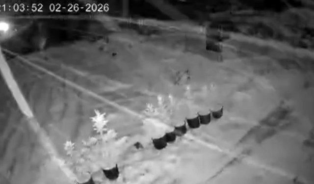 Ilgaz’da kar yağışı yeniden etkili oldu