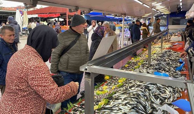 Bolu pazarında hamsi yokluğu sürüyor