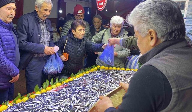Bolu’da hamsi bolluğu tezgahlara yansıdı