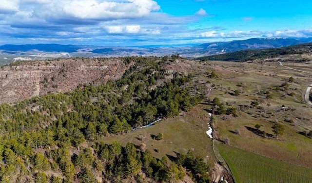 İhsangazi yaylaları karların erimesiyle yeşile büründü