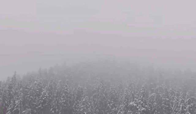 Ilgaz Dağı'nda kar yağışı etkili oldu