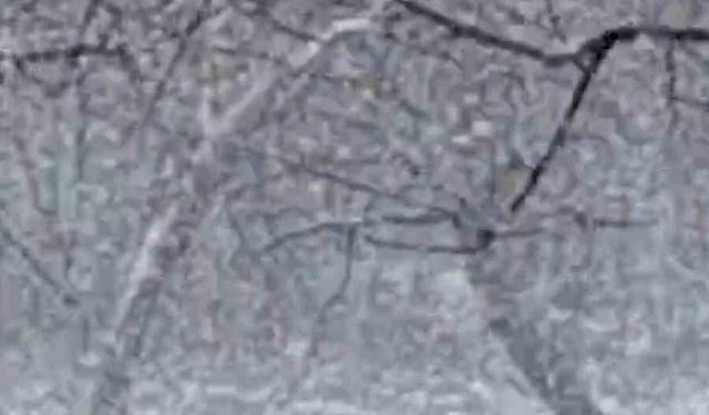 Mudurnu’da kar yağışı etkisini artırdı