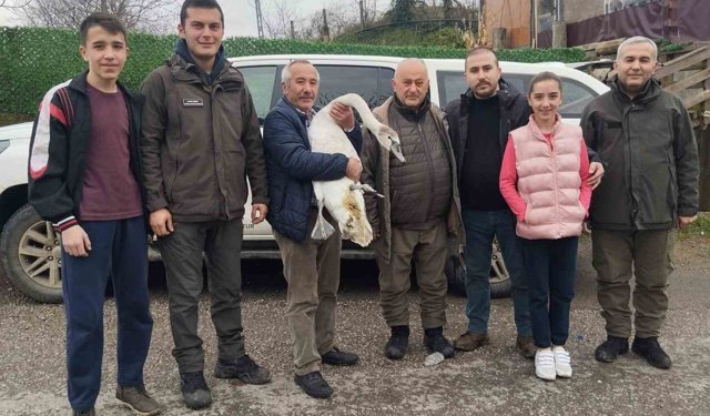 Bartın’da yaralı kuğu yeniden doğaya döndü