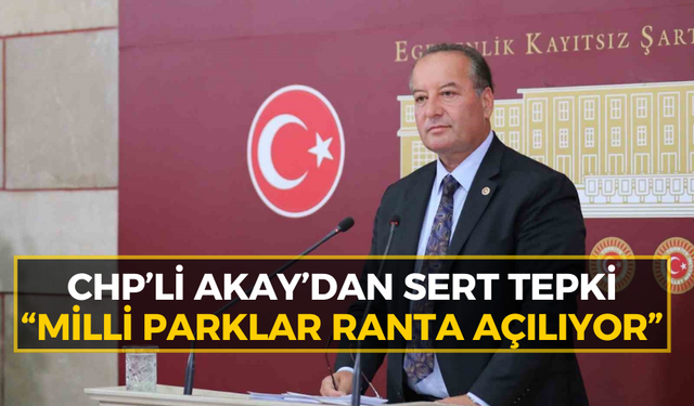 CHP’li Akay: “Bu düzenleme doğayı değil, şirketleri koruyor!”